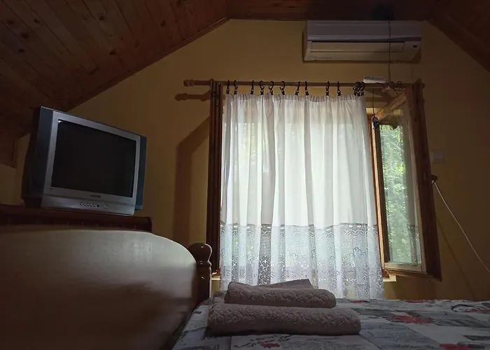 홀리데이파크 Kod Dace *