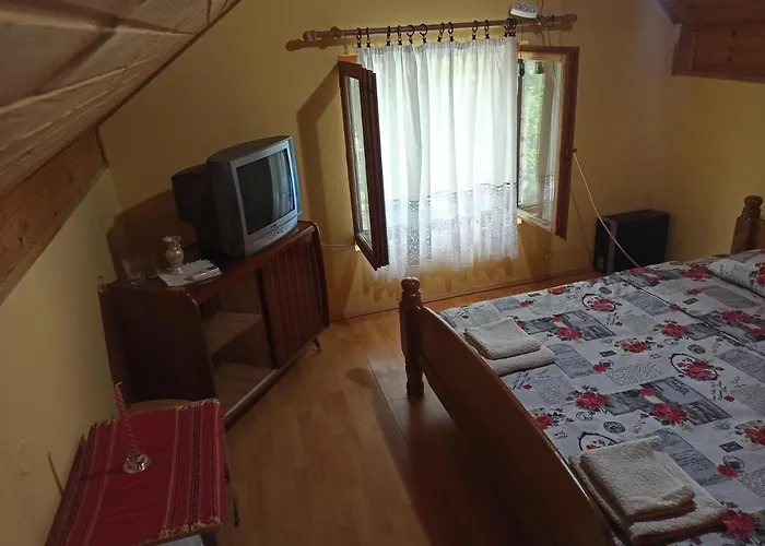 홀리데이파크 Kod Dace