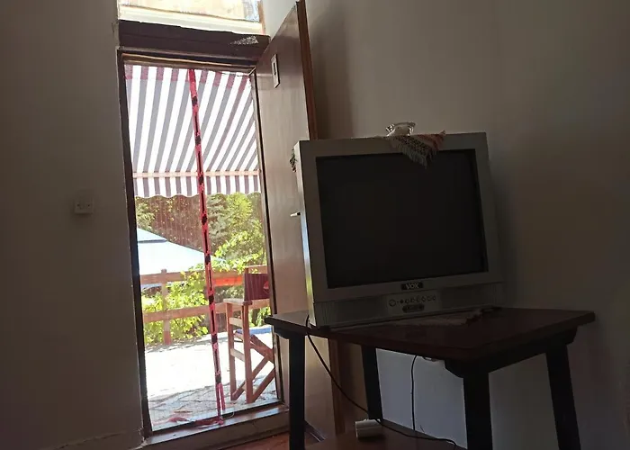 Kod Dace 홀리데이파크