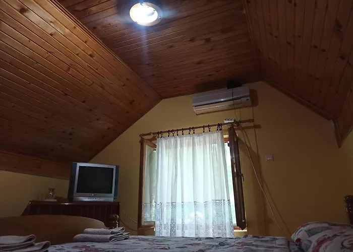 Kod Dace 홀리데이파크 *