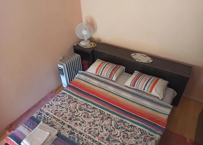 Kod Dace 홀리데이파크