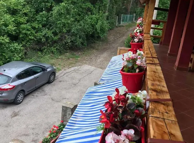 Kod Dace 홀리데이파크 *